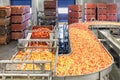 Clean and fresh gala apples on a conveyor belt in a fruit packaging warehouse Royalty Free Stock Photo