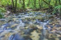 Clean and fresh stream in tropical rainforest. Royalty Free Stock Photo