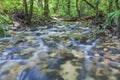 Clean and fresh stream in tropical rainforest.
