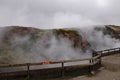 Clean geothermal energy escaped by geysers from the bowels of the earth