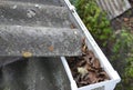 Clean gutters. Gutter Leaf Removal. Roof gutter with fallen leaves. Rain gutter cleaning photo Royalty Free Stock Photo