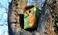 Clean and inspect the birdhouse before each placement. Place dry booths without defects on a tree or elsewhere where desired. beek Royalty Free Stock Photo