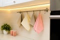 Clean kitchen towels hanging on wall indoors Royalty Free Stock Photo