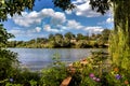 Clean lake in green spring summer forest Royalty Free Stock Photo