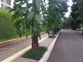 a clean looking walkway on the side of the building Royalty Free Stock Photo