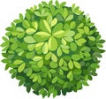A clean and minimal top-down bush with layered leaf textures, flat green tones, and clear white backdrop, great for apps and maps Royalty Free Stock Photo