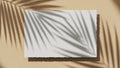 White paper card with palm leaf shadow overlay on textured beige background Royalty Free Stock Photo