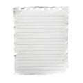 White Ripped Paper Note Isolated on White Background Royalty Free Stock Photo