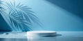 Abstract empty white podium with leaves shadows on blue background. Mock up stand for product presentation. 3D Render. Minimal Royalty Free Stock Photo