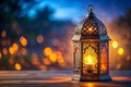 Illuminated Moroccan lantern, night, garden bokeh, Ramadan Royalty Free Stock Photo