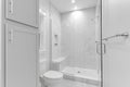 Clean Modern Primary Bathroom Glass Shower with Tile Walls and Grey Cabinetry. Stone Bench with Built In Shelves