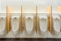 Clean modern public men toilet, white ceramic urinals row with automatic sensor flushing and wooden partition Royalty Free Stock Photo