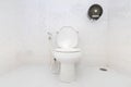 A clean modern toilet bowl and rising spray. White toilet bowl and tissue paper in a bathroom Royalty Free Stock Photo