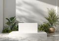 Minimalist White Pedestal Display with Lush Green Plants and Natural Sunlight Shadow Patterns Royalty Free Stock Photo