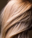 Clean natural healthy hair close-up