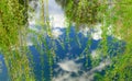 Clean nature forest lake and vivid green foliage above calm water surface with reflection from the sky May spring time concept Royalty Free Stock Photo