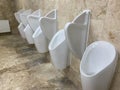 A clean new public toilet room empty Royalty Free Stock Photo