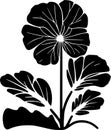 Primrose - black and white isolated icon - vector illustration