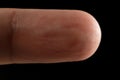 Clean normal fingerprint without color or dirty. Clean fingerprint to show texture detail of uneven finger print and scratch skin