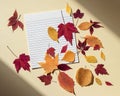 Clean paper sheet in a lined with autumn leaves. Bright sunlight and shadows at edges of frame. Beige background, flat lay, copy Royalty Free Stock Photo