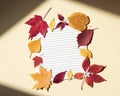 Clean paper sheet in a lined surrounded by autumn leaves. Bright sunlight and shadows at edges of frame. Beige background, top Royalty Free Stock Photo