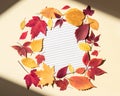 Clean paper sheet in a lined surrounded by autumn leaves. Bright sunlight and shadows at edges of frame. Beige background, top Royalty Free Stock Photo