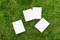 Clean picture frame of white paper on green grass Royalty Free Stock Photo