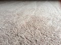 Clean plush carpet floor