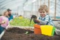 Clean products. clean products industry. little boy growing clean products. clean products concept. beauty gardening. Royalty Free Stock Photo