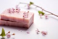 Clean and pure: handmade herbal soap with natural extracts