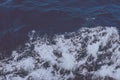 Clean pure Mediterranean sea surface with a lot of tiny waves, bubbles and foam in vintage colors tones Royalty Free Stock Photo