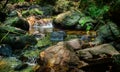 Clean and pure water streams in the creek flow through the rock boulders, Beraliya tropical rainforest. Peaceful natural scenery Royalty Free Stock Photo