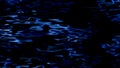 Clean quivering still water background. Dark blue water in the night with light reflections. Royalty Free Stock Photo