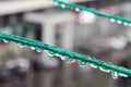 Clean rain drops on the green rope Royalty Free Stock Photo