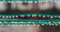 Clean rain drops on the green rope Royalty Free Stock Photo