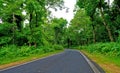 The clean road bends in deep Greenery forest of Daringbadi, Odisha