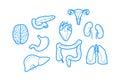 Clean and sharp outline icons about Human Anatomy Royalty Free Stock Photo