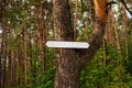 clean signpost, on a tree