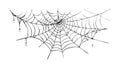 Simple Spider Web: Minimalist creepy crawly design. vector design Generative AI Royalty Free Stock Photo