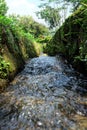 Clean streams flowing fast with a lovely rustic atmosphere