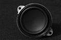 Clean subwoofer in black and white with a small depth of sharpness