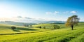 Beautiful clean landscape Royalty Free Stock Photo
