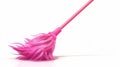 Clean and sweep dust at home with a floor mop. Modern illustration of a broom with plastic handle and a cloth duster for