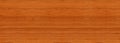 Clean teak wood texture banner