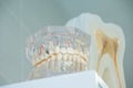 Clean teeth denture, dental cut of the tooth, tooth model, in dentist`s office.