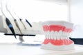 Clean teeth denture, dental jaw model in dentist's office.