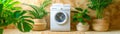 Clean and Tidy Home Laundry Room Essentials with Plants for a Refreshing Atmosphere Maintain a Fresh and Organized Laundry Space Royalty Free Stock Photo