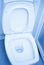 Clean Toilets blue color tone.