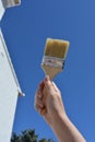 Home improvements and DIY,  hand holding paint brush Royalty Free Stock Photo