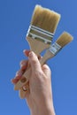 Home improvements and DIY,  hand holding paint brushes Royalty Free Stock Photo